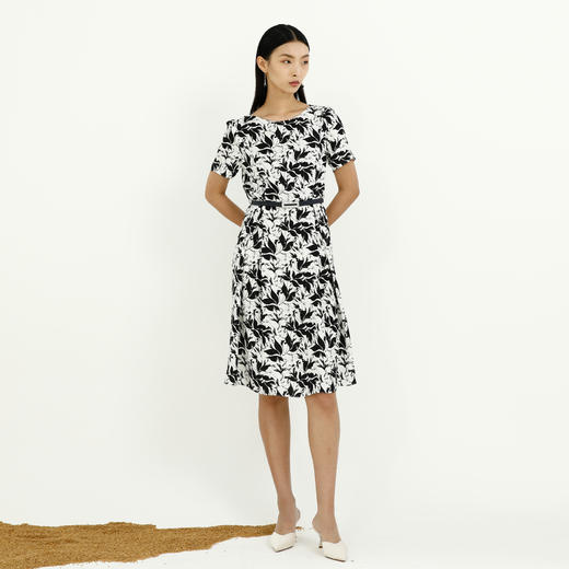 戴布拉芬连衣裙L27B569 商品图2