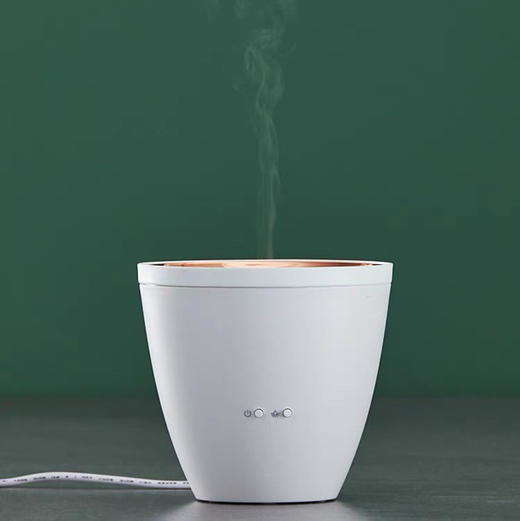 斯泰得乐家用卧室睡眠精油香薰机小型 商品图1