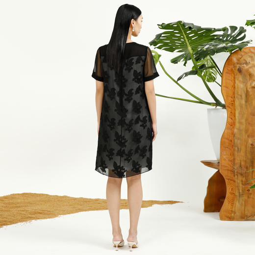 戴布拉芬连衣裙L27B574 商品图3