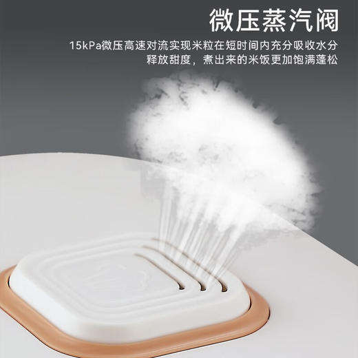 【小家电】Abereve艾贝丽 智能电饭煲ABL-FBZ31 HF 商品图4