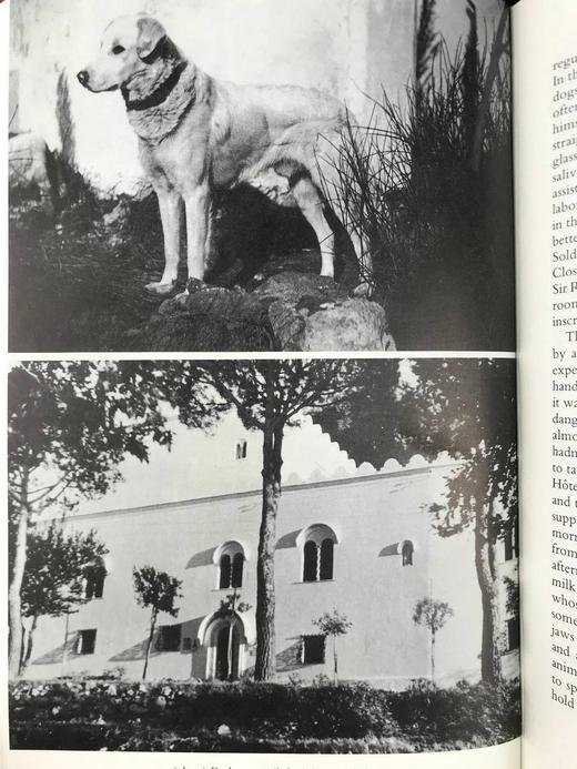 阿克塞尔·蒙特《圣米歇尔的故事》 30幅插图 精装16开带书匣 商品图10