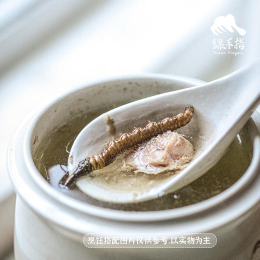 野生高海拔新鲜冬虫夏草（玉树）| 合作生产 * Yushu high altitude fresh Cordyceps sinensis | Partner Production 商品图6