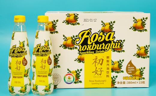D初好刺梨气泡饮料（华铁版）380ml/瓶 商品图0