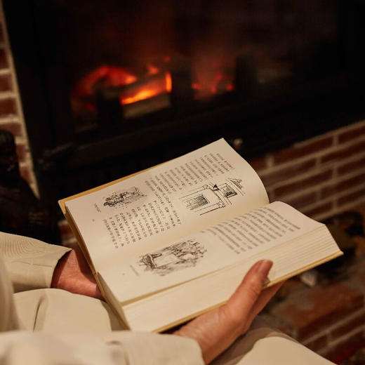 【特价】伦敦小孩 E.H.谢泼德自传 维多利亚时代黑白绘画艺术最后的大师 商品图7