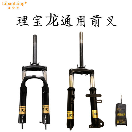 理宝龙前叉 商品图0