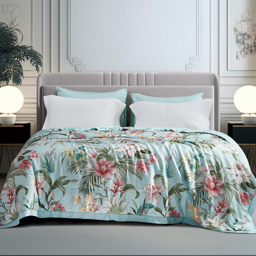 【6F】富安娜水洗蚕丝夏被/澜韵香檀，蓝，牌牌价2980~3280，【会员节专享价】799~899元 商品图1