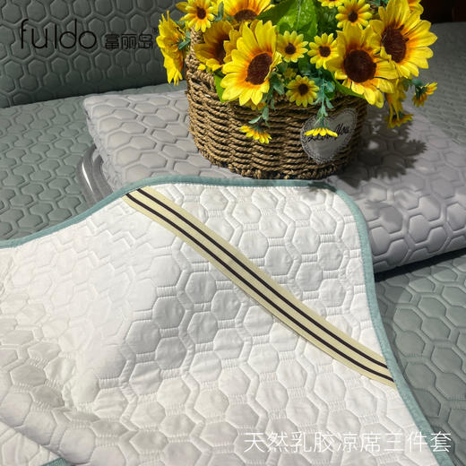 富丽岛凉感丝乳胶凉席三件套 商品图3