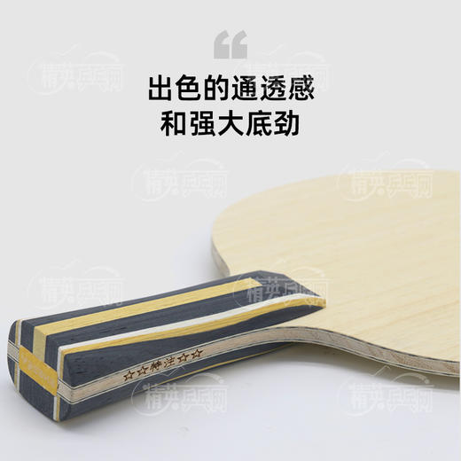 亚萨卡YASAKA 竞技者SPEED PRO 特注 专业乒乓球底板5+2外置结构 商品图2