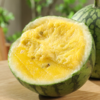 【特小凤黄瓤西瓜】香脆爽口 皮薄肉厚 一口沁心甜 4-5斤 商品缩略图1
