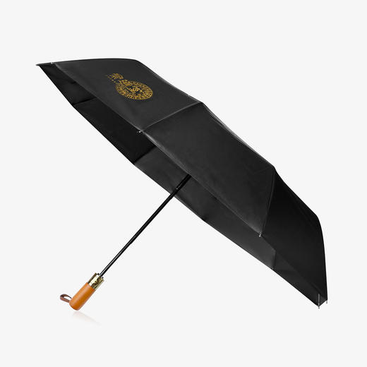 地支四象星宿伞 商品图2