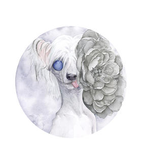 JoanneQ《它又说-宠物狗说》原作