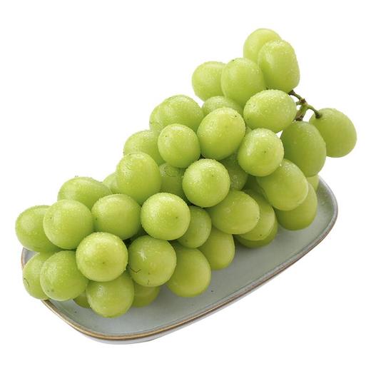 阳光玫瑰青提约750g/份（无籽脆甜） 商品图2