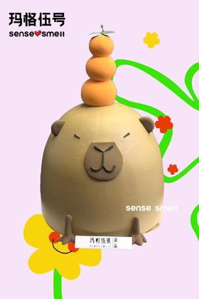 2024儿童节T款——卡皮巴拉（需提前1-2天预订）