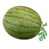 小吊瓜（1800±100g）多退少补 西瓜甜瓜 商品缩略图0
