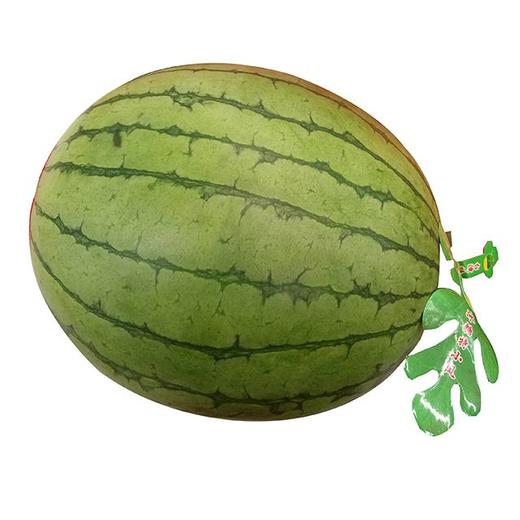 小吊瓜（1800±100g）多退少补 西瓜甜瓜 商品图0