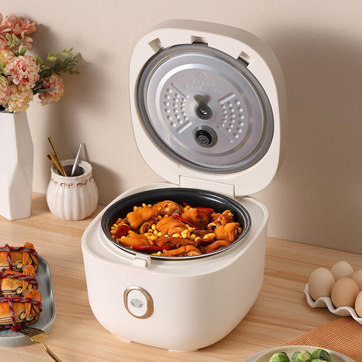 大宇（DAEWOO）家用4L容量多功能煮粥煲汤智能电饭煲 DYFB-424F（升级版） 4L 商品图2