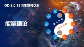 第四课3：OD之道——6-8支柱（能量、进化、人本理论）