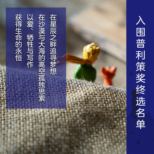 小王子的星辰与玫瑰：圣埃克苏佩里传  五十法郎上是他的头像，他的名字被用来命名街道、山峰和行星 商品图6