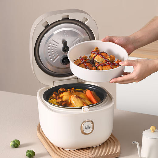 大宇（DAEWOO）家用4L容量多功能煮粥煲汤智能电饭煲 DYFB-424F（升级版） 4L 商品图0