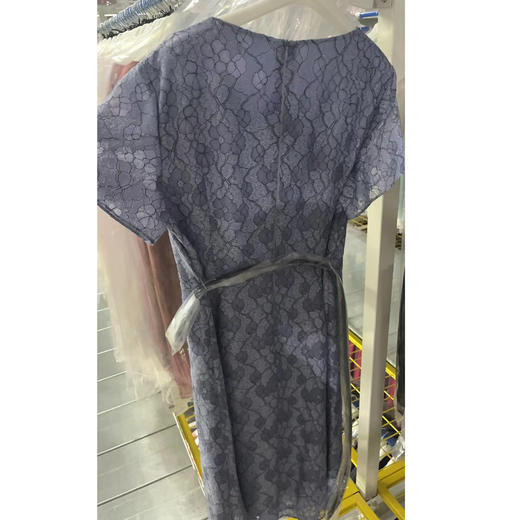 戴布拉芬连衣裙L27B557 商品图1