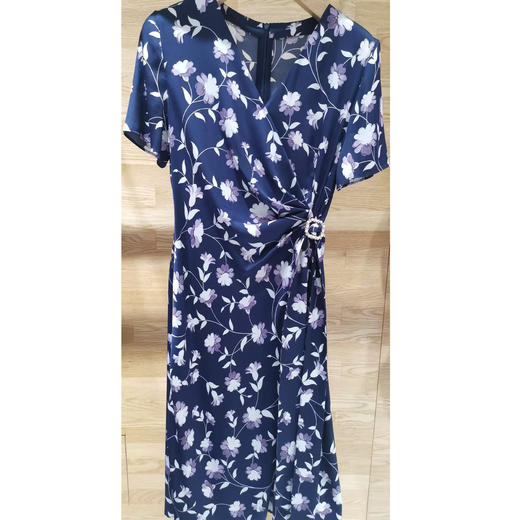 戴布拉芬连衣裙L27B580 商品图3