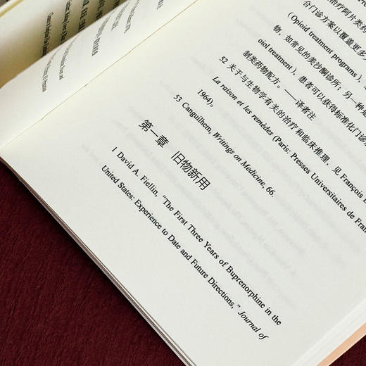 诊所在别处 成瘾人类学和药物依赖下的青少年 薄荷实验 托德·迈耶斯 商品图13