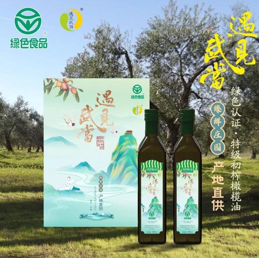 遇见武当 武当印象臻鲜庄园礼盒500ml*2实惠装 商品图0