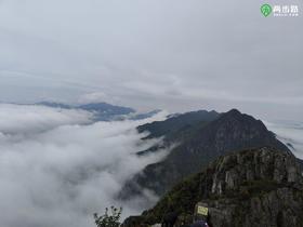  跑步2公里脚底就痛？小心足底筋膜炎!（附完整康复教程） 