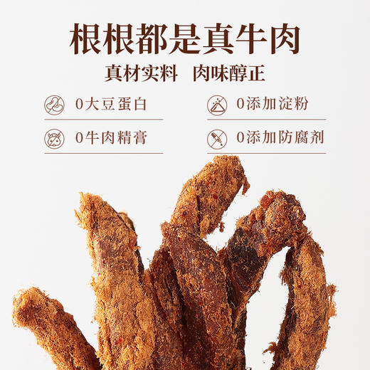 太丰·原切牛肉条（五香味） 100g 10个月 商品图2