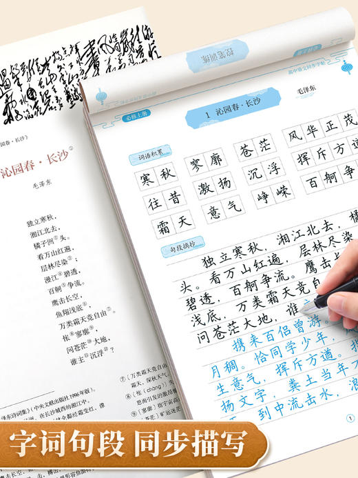 高中必修语文同步练字帖楷书人教版语文同步专用字帖高中必背古诗文上册下册文言文正楷钢笔练字每日一练贴临摹初一练习练字本 商品图4