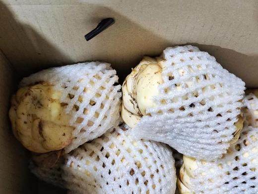 周五取货：【宜兴百合礼盒】一箱毛重3斤左右，甜糯～自然鲜～片大饱满！ 商品图2