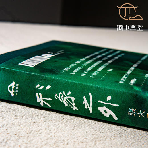 【绝版好书】《形象之外-张大千的生活与艺术》16开316页，2022年台一卷文化初版 商品图1