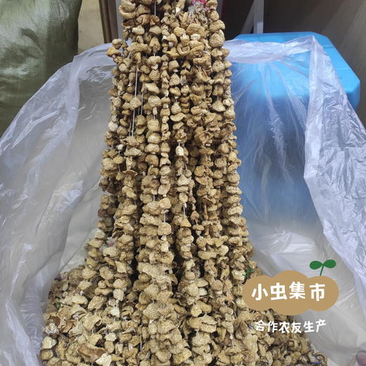 野生石渠白菌 50g/袋 | 合作农友生产，来自四川甘孜石渠县，生产者：李建程和石渠县藏族农牧民 &【公平贸易农人定价】 商品图8