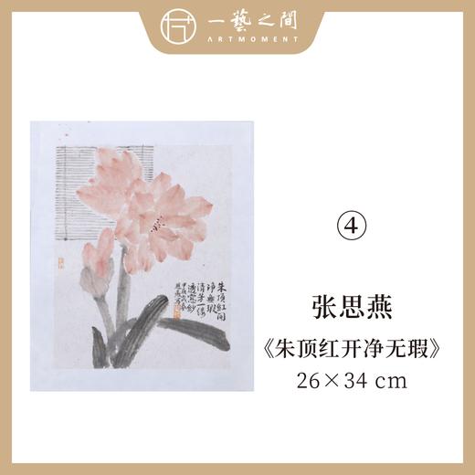 张思燕花鸟国画原作 26x34cm 手绘纸本宣纸《惟江上之清风》《绣球花绽满庭香》等 本期直播特供仅5张 限时限量优惠 售完即止【现货包邮】 商品图6