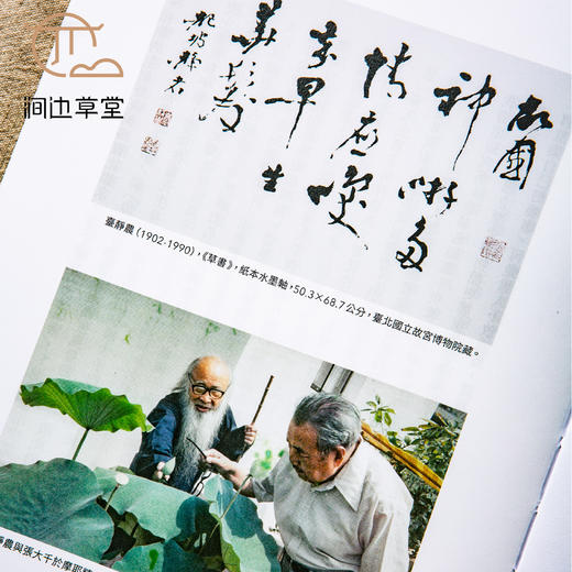 【绝版好书】《形象之外-张大千的生活与艺术》16开316页，2022年台一卷文化初版 商品图5