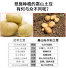 【严选】恩施高山小土豆2500g/箱   （厂家直发） 商品缩略图2