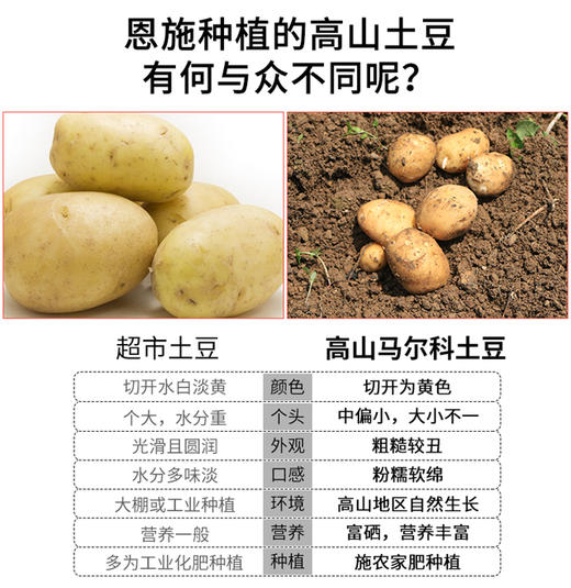 【严选】恩施高山小土豆2500g/箱   （厂家直发） 商品图2