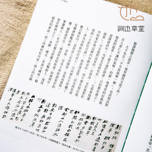 【绝版好书】《形象之外-张大千的生活与艺术》16开316页，2022年台一卷文化初版 商品图3