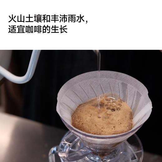 肯尼亚 波波莓水洗PB 手冲咖啡豆200g 商品图2