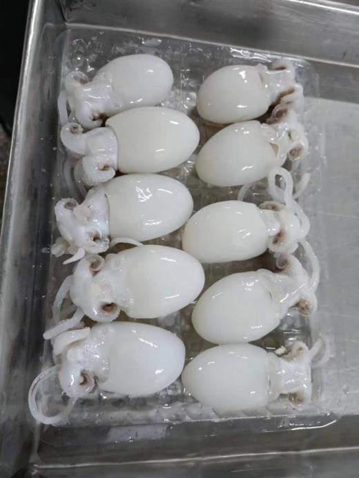 赵海10头墨鱼仔350克 商品图0