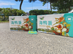 礼盒公主湖畔海鸭蛋一箱