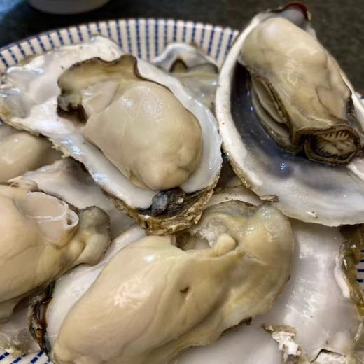 生蚝鲜活牡蛎新鲜特大海蛎子蒜蓉烧烤海鲜水产一箱装包邮 商品图2