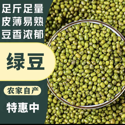 ✈️包邮到家！农家自种绿豆，纯有机，夏天煮绿豆汤首选，解暑降温！2斤/袋，一组4斤 商品图1