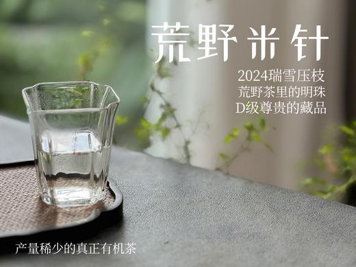 【白茶中的顶流】2024荒野米针真真是野性难驯，春白茶中的稀罕物，99%的茶友都未品尝过（50克装）！ 商品图9