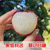 现摘现发广东茂名高州荔枝新鲜白糖罂荔枝（高州根子镇贡园荔枝园）5斤/10斤 商品缩略图2