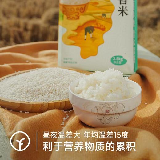 【有机】新疆沙漠乳香米2.5kg家庭装 商品图3