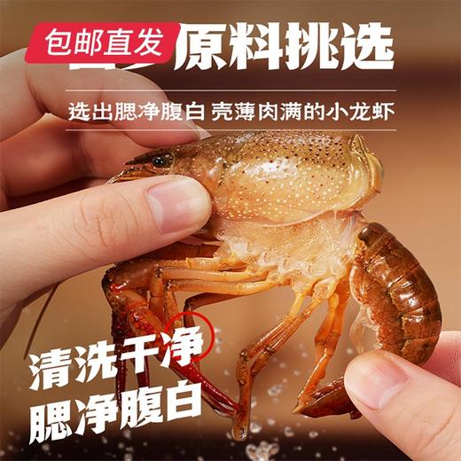 海底捞·即食小龙虾 1500g *1盒+600g *1盒【包邮直发】 商品图3