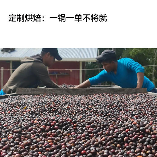 巴拿马瓜瓜果庄园低温日晒瑰夏 商品图3