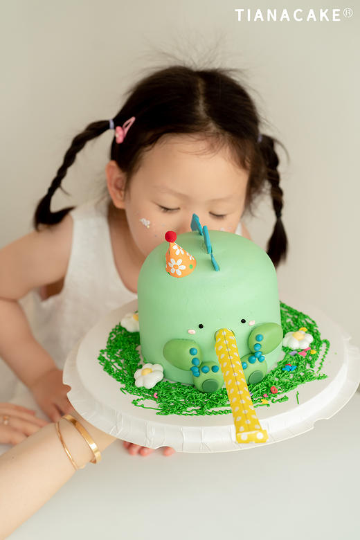 恐龙捣蛋计划（5寸咸奶油蛋糕） 商品图0