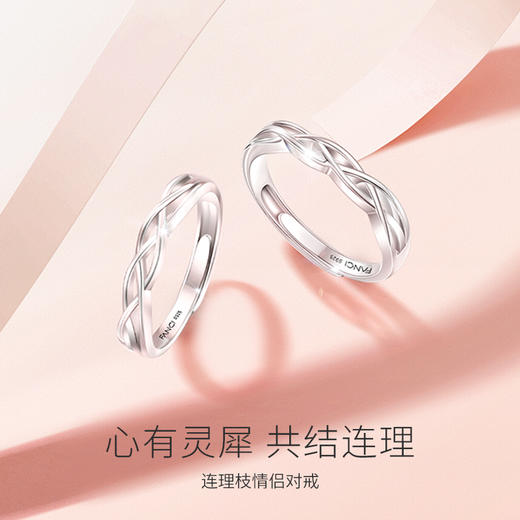 【连理枝对戒】Fanci范琦银饰轻奢情侣对戒 下单赠精美礼盒 顺丰空运+运费险 商品图1
